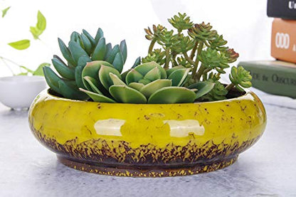 VanEnjoy 7.3 inch Round Large Shallow Succulent Ceramic Glazed Planter Pots with Drainage Hole, Bonsai Pots Garden Decorative Cactus Stand Flower Container (Yellow) - color: Yellow