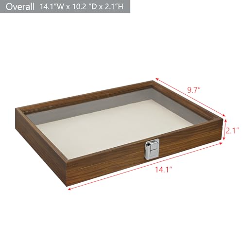 MOOCA Jewelry Display Case, Display Case Accessories Storage Box with Tempered Glass Hinge Lid, Jewelry Tray for Collectibles, Walnut Color, 14.1W x 10.2D x 2.1H in - color: Walnut, Beige