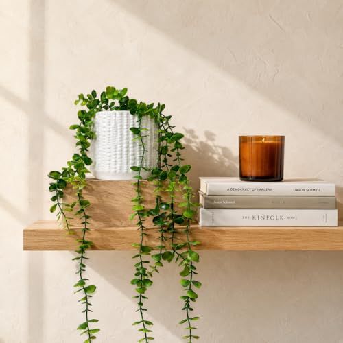 Ceramic Planter Pot with Drainage Hole, 5 Inch Dia, Indoor and Outdoor, Home Patio Garden, Plants&Flowers, Textured Round (White) - style: Textured Round-White