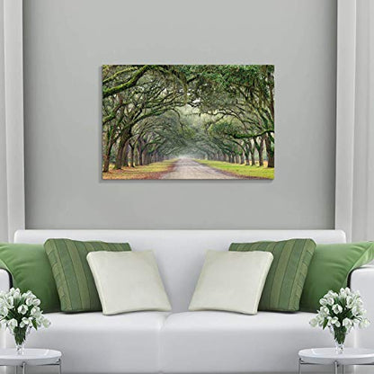 Hardy Gallery Tree Tunnel Canvas Wall Art Oak Landscape 36x24 Inch - color: Path in Oak Trees, size: 36"L x 24"W