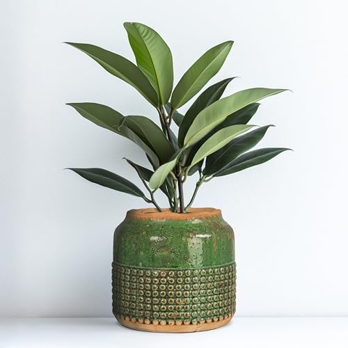 Creative Co-Op Round Terra-Cotta Hobnail Planter Vase with Heavily Distressed Finish, Green - color: Green, size: 7.25" diameter x 6.25" tall