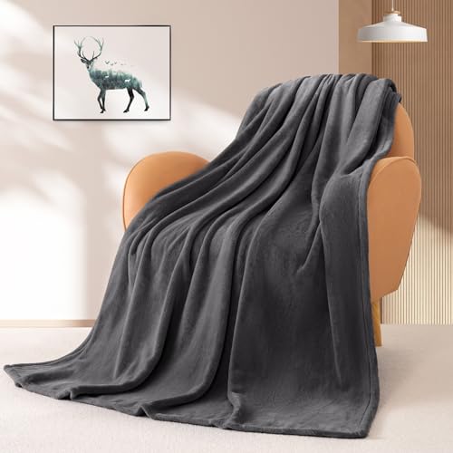 BEAUTEX Fleece Blanket Twin Size Soft Flannel Throw Lightweight Fuzzy - color: Graphite, size: Twin