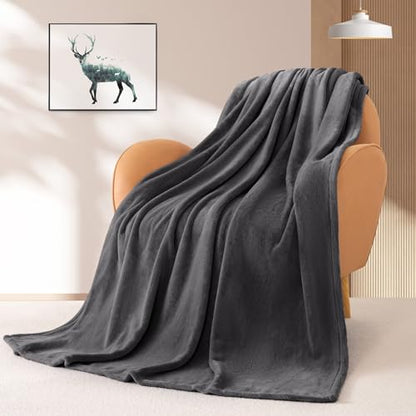 BEAUTEX Fleece Blanket Twin Size Soft Flannel Throw Lightweight Fuzzy - color: Graphite, size: Twin
