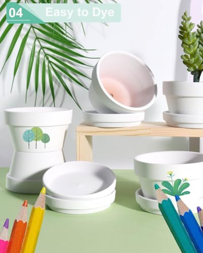 vensovo 4.5 Inch White Terracotta Succulent Pots with Saucers, 6 Pack - color: White, size: 4.5 Inch