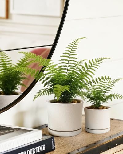 Ceramic Plant Pots, Set of 3, 4.3/5.6/6.9 Inch with Drainage - color: White (4+5+7)