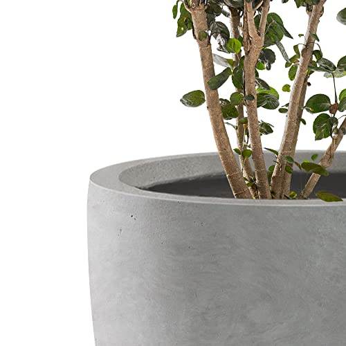 Kante Large Round Curved Pale Gray Concrete Planter 16.5" Dia, Outdoor - color: Natural Concrete, size: 16.5"d