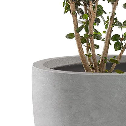 Kante Large Round Curved Pale Gray Concrete Planter 16.5" Dia, Outdoor - color: Natural Concrete, size: 16.5"d