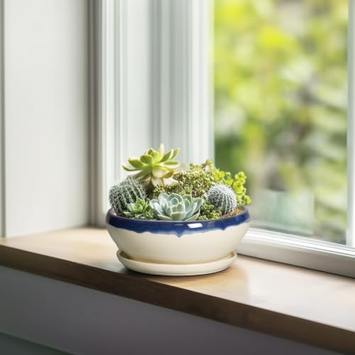 SQOWL Succulent Pots 6 Inch, Ceramic Bonsai Pots with Saucer, Blue-Beige - color: Blue-beige, size: 6 Inch