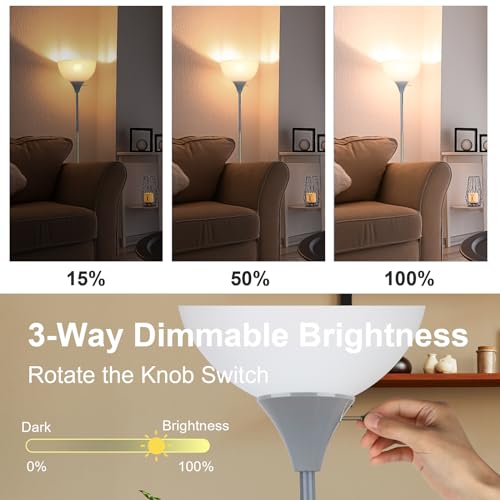 LALISU Floor Lamp, LED Standing Lamp 3 Way Dimmable Brightness Floor Lamp - color: Gray