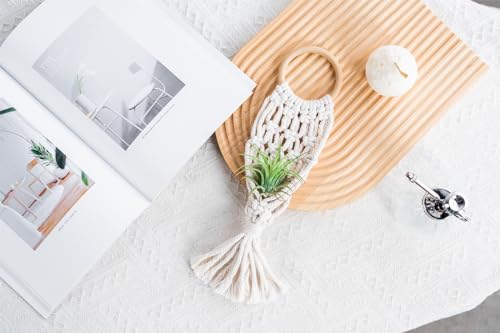 Melphoe 4 Pack Air Plants Holders Stand Air Fern Macrame Plant Hanger Indoor Hanging Planter Basket for Tillandsias Display, Boho Home Decoration Gift Idea