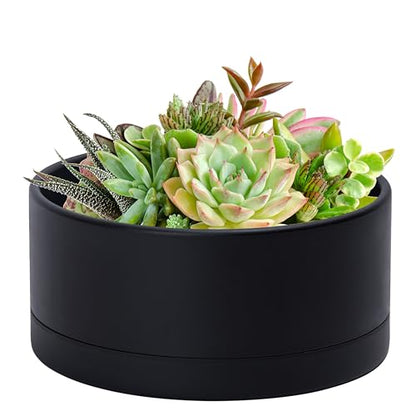 D'vine Dev 10 in Shallow Round Succulent Planter, Black, 76-Z-B-2 - color: Black, size: 10 Inch