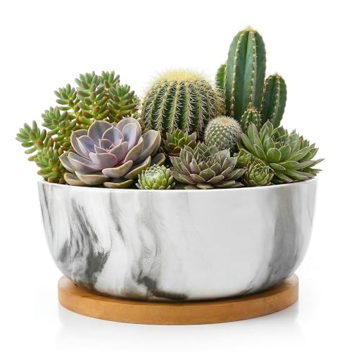 Pastel Marble Inspired 8 Inch Ceramic Succulent Planter with Drainage Hole & Bamboo Tray – Large Wide Round Pot Decorative for Indoor Plants, & Cactus