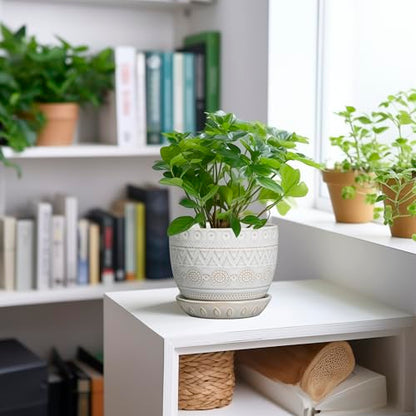 G EPGardening Ceramic Planters for Indoor Plants, 5 Inch Plant Pot, White - color: Triangle White