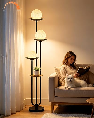 Lightdot Globe Black Floor Lamp Modern Dimmable Floor Lamps for LivingRoom - color: 3 Grey Globe-Black