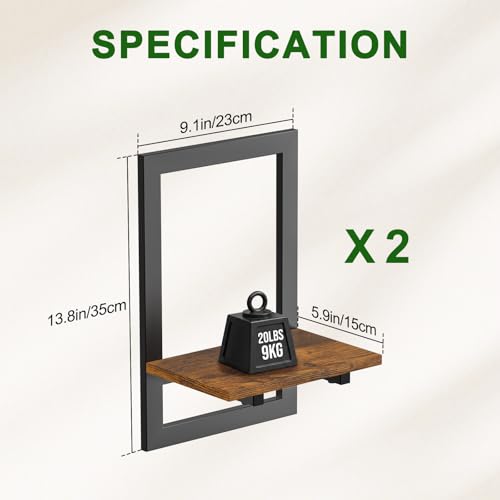 Housolution 2 Pack Wall Plant Holder, Picture Frame Design Plant Shelf