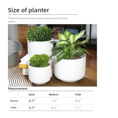 6" Ceramic Plant Pot w/Drainage, White Planter Indoor Outdoor
