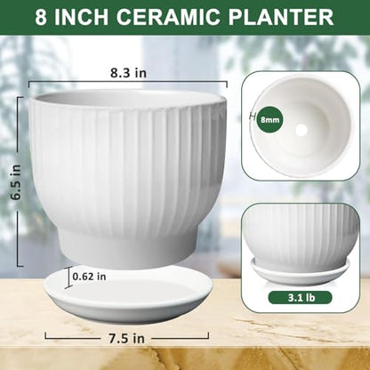 8 Inch Ceramic Plant Pot,White - color: Pure White, size: 8 Inch(1 PCS)