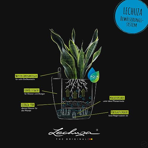 Lechuza Classico Color 21 Nutmeg, Self-Watering Small Round Planter, D8.3 H7.9 in - color: Nutmeg Matte, style: 21