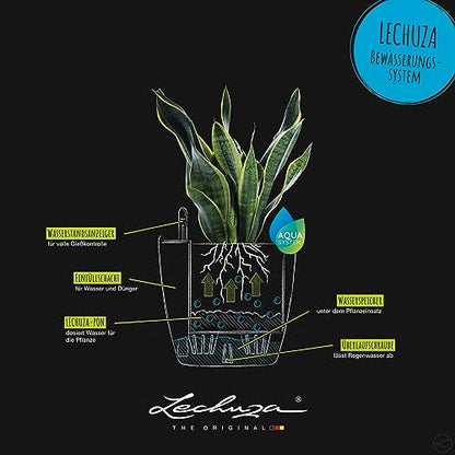Lechuza Classico Color 21 Nutmeg, Self-Watering Small Round Planter, D8.3 H7.9 in - color: Nutmeg Matte, style: 21