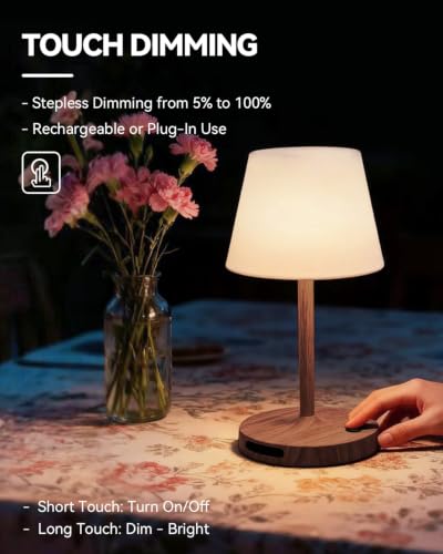 SAIWEYA Outdoor Waterproof Shower Lamp, 5200mAh Rechargeable Bathroom Lamp - color: Dark Walnut, size: 5200mAh