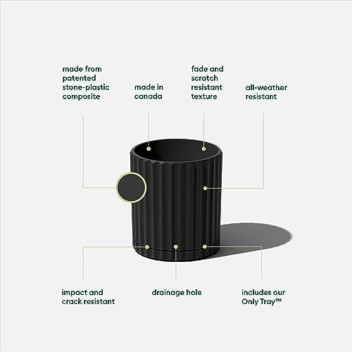 Veradek Demi Series Demi 6" Planter w/Tray - Black, 2 Pack - color: Black, size: 6 inch - 2 Pack