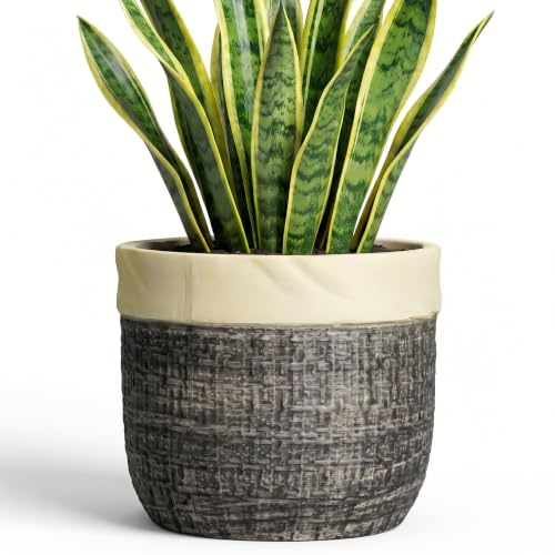 8 Inch Plant Pot, Ceramic Flower Pots, Round Planter, Light Black - color: Light Black, size: 8 Inch