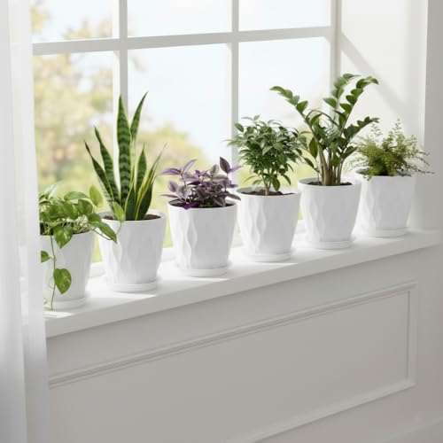 8 Inch Plant Pots Plastic Planters with Drainage Holes & Saucer, 6 Pack - color: White 8 Inch
