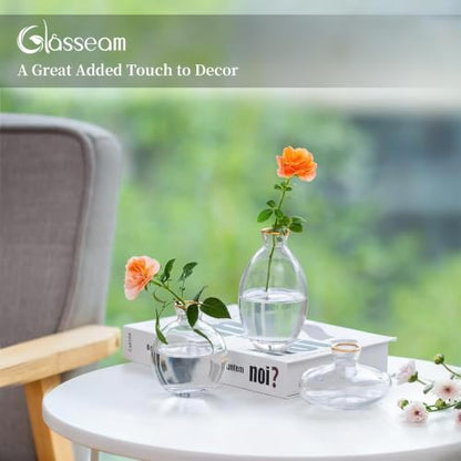 Glasseam Glass Bud Vase for Centerpieces, 6Pcs Clear Small Flower Vase Set - color: Gold Rim, size: 2 Sets
