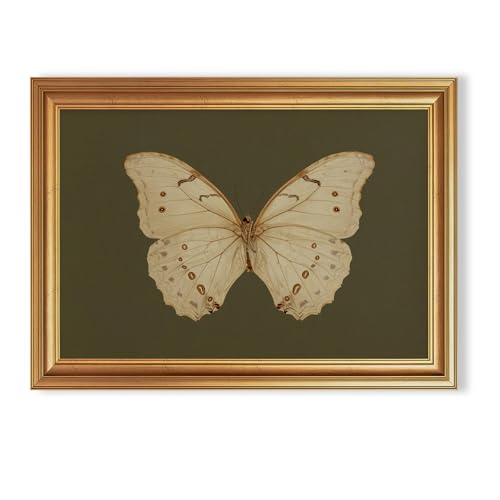 EJPFOGV Butterfly Framed Canvas Wall Art Dark Green Background 16x24 inches - color: Butterfly, size: 24"L x 16"W
