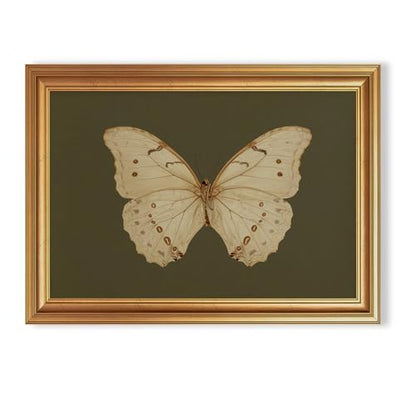EJPFOGV Butterfly Framed Canvas Wall Art Dark Green Background 16x24 inches - color: Butterfly, size: 24"L x 16"W