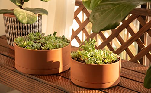 D'vine Dev Terracotta Shallow Planter Pot with Saucer, 10 in, 40-Y-B-0 - size: 10 Inch