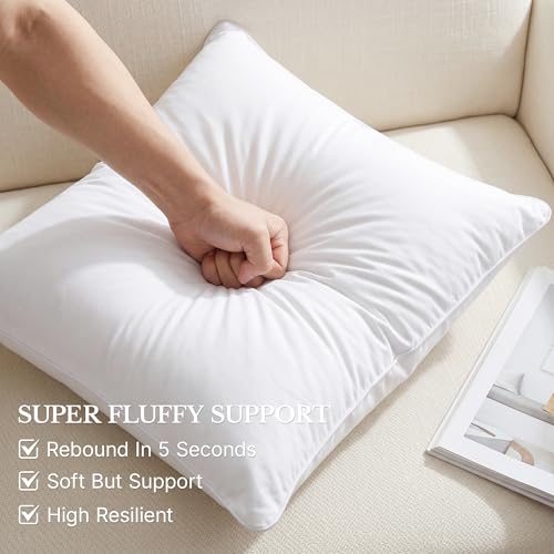 Leeden 18x18 Throw Pillow Inserts Set of 2-100% Cotton Cover - size: 18x18 Inch