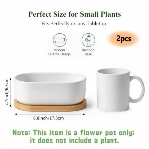 2 Pack Oval White Ceramic Succulent Planters with Bamboo Tray