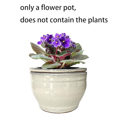 African Violet Pots Self Watering White 6 inch - color: White