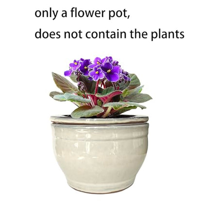 African Violet Pots Self Watering White 6 inch - color: White