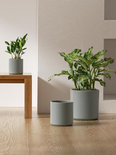 LE TAUCI 10+8+6 Inch Ceramic Pots for Plants, Indoor Planters with Drainage Hole and Plug, Modern Cylinder Flower Pots Set of 3 for Living Room and Bedroom, Glossy, Mist Gray - color: Mist Gray