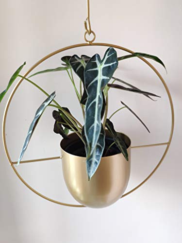 Boho Metal Plant Hanger,Metal Round Hanging Planter, Modern Planter, Mid Century Plant Holder, Minimalist Planter for Indoor Outdoor Home Decor (Gold)