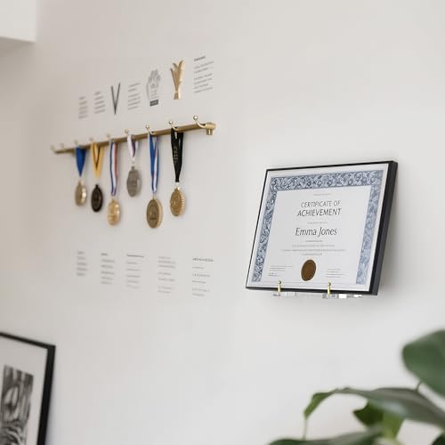 Wall-Mount Acrylic Display Shelf for Plates, Acrylic Plate Stand with Adjustable Display Angle, Ideal Hanger for 6-16 Inch Plates, Picture Frames, Bowl, Certificate, Artwork, Gold Pegs - 1 Pack - color: Gold Pegs