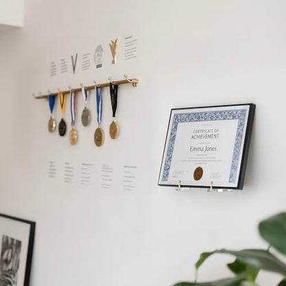 Wall-Mount Acrylic Display Shelf for Plates, Acrylic Plate Stand with Adjustable Display Angle, Ideal Hanger for 6-16 Inch Plates, Picture Frames, Bowl, Certificate, Artwork, Gold Pegs - 1 Pack - color: Gold Pegs
