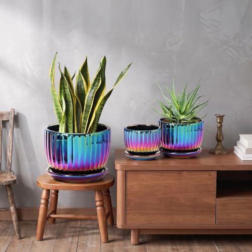 Ceramic Planters,Plant Pots with Drainage Holes & Saucers Set of 3(Purple) - color: Purple