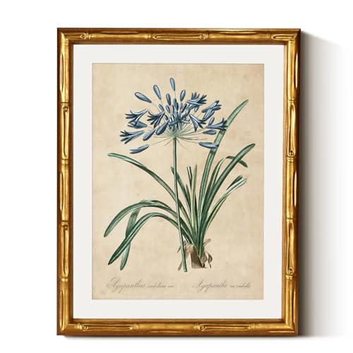 InSimSea Gold Bamboo Framed Wall Art, Retro Lily Botanical Prints, 11x14In - color: African Lily