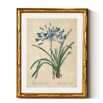 InSimSea Gold Bamboo Framed Wall Art, Retro Lily Botanical Prints, 11x14In - color: African Lily