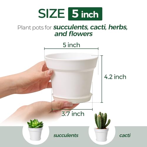 T4U Small Plant Pots 5 Inch 8 Pack, Plastic Indoor Flower Pots Saucer White - color: White, size: 5 inch