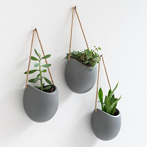 Kazai. Wall Planters -Ellie- | Hanging Ceramic Plant Pots 3 Pieces | Wall Decoration for Indoors, Balcony and Garden | Gray (Matte) - color: Grey (Matte), size: Set of 3 - Standard