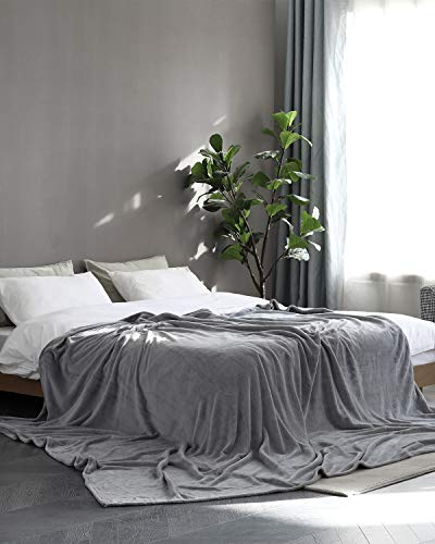 KMUSET Fleece Blanket Twin Size Grey Lightweight Throw Blanket Super Soft Cozy Microfiber Blanket Factory Shop - color: Grey, size: Twin(60"x80")