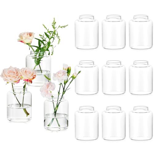 Glasseam Bud vases Set of 12: Glass Vases for Centerpieces Modern Small Vases for Home Table Shelf Wedding Party Decoration - Clear Vase for Flowers Stem Roses Tuilps Cuttings - size: 12Pcs