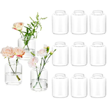Glasseam Bud vases Set of 12: Glass Vases for Centerpieces Modern Small Vases for Home Table Shelf Wedding Party Decoration - Clear Vase for Flowers Stem Roses Tuilps Cuttings - size: 12Pcs