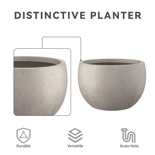 Kante Large Round Bowl Weathered Concrete Planter 20" Dia, Outdoor - color: Weathered Concrete, size: 19.9" d