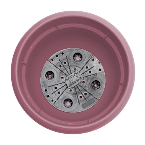 Bloem Ariana 12" Plastic Self-Watering Planter, Dusty Rose, 2-Pack - color: Dusty Rose, size: 12" (Pack of 2)