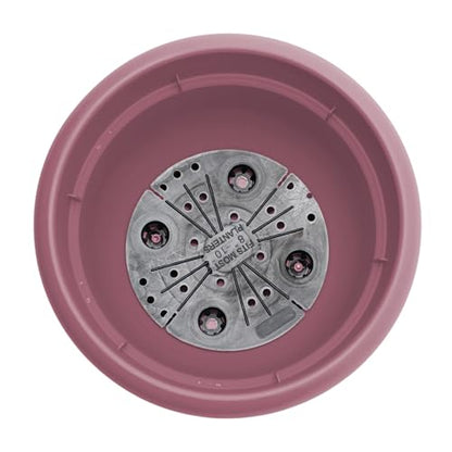 Bloem Ariana 12" Plastic Self-Watering Planter, Dusty Rose, 2-Pack - color: Dusty Rose, size: 12" (Pack of 2)
